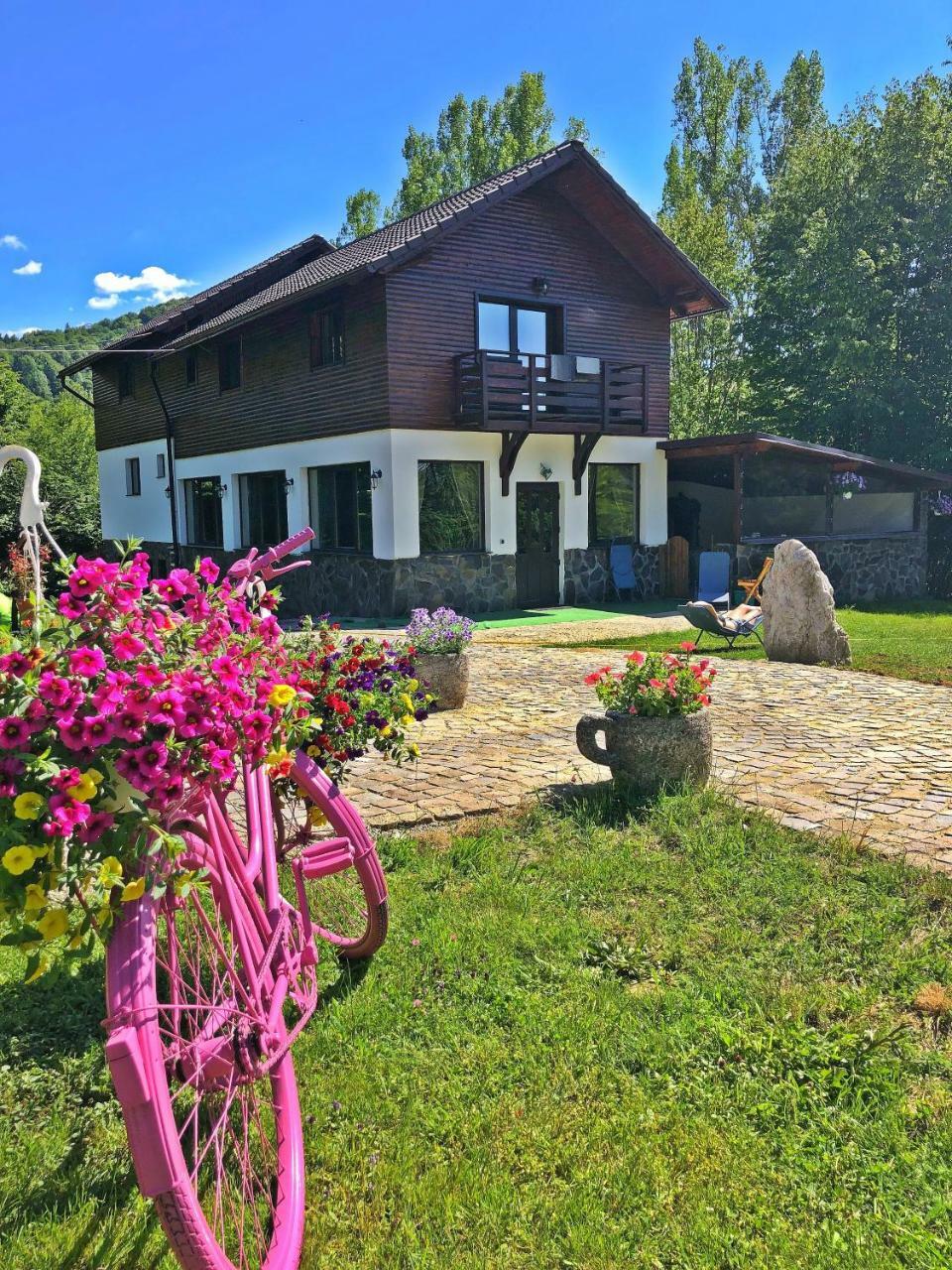 Cabana Din Groapa Frumoasa Рышнов Экстерьер фото